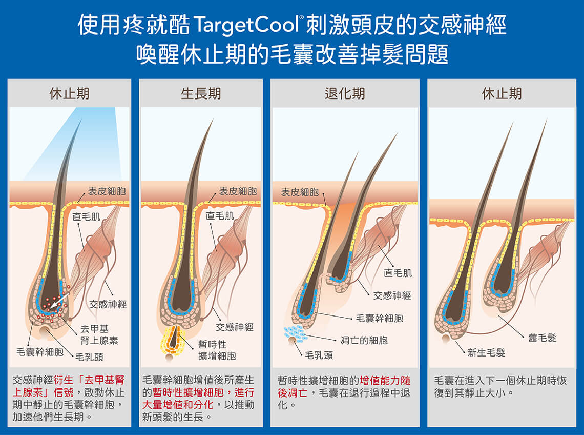 TargetCool疼就酷_刺激交感神經改善頭髮